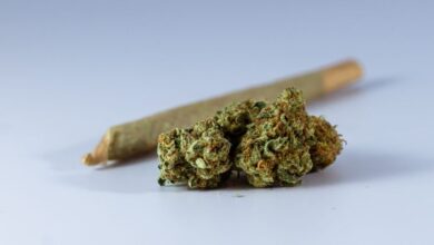 Marijuana