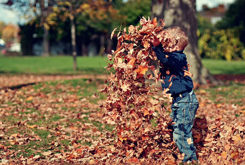 assegni familiari bambini germania europa estero
