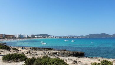 Maiorca