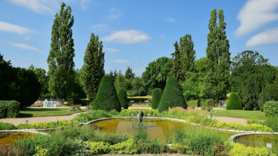 Botanischer Garten by Stefano Comi