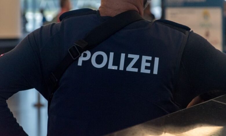 torturato petardo sinagoga vietate stupro 5 anni delitto testimoni leonessa bomba dodicenne resti umani picchiata polizia di Berlino svastiche coinquilini