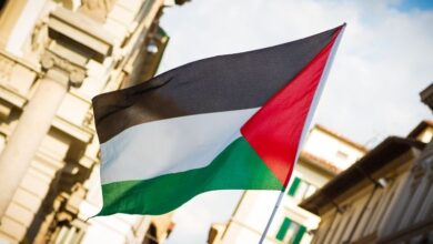 manifestazioni per la Palestina