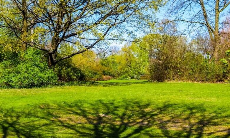 Verde autunno caldo