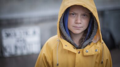 Greta Thunberg fermata
