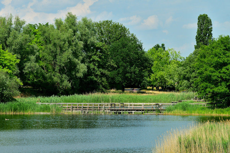 Britzer Garten