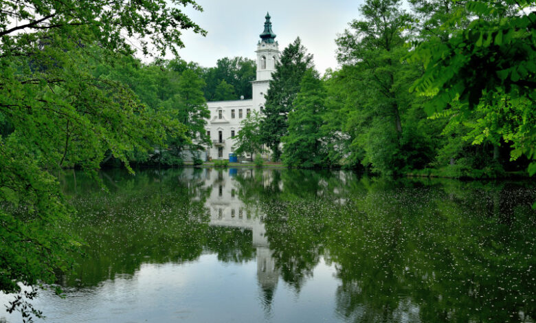 Schloss Dammsmuhle