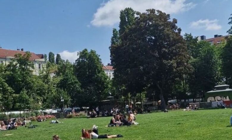 mano Ordnungsamt