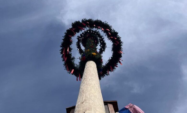 maibaum