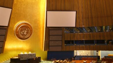 assemblea generale ONU