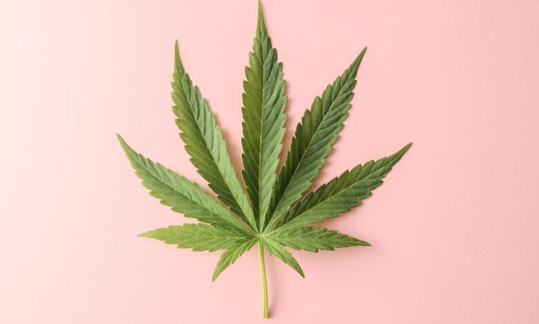 legalizzazione cannabis in Germania