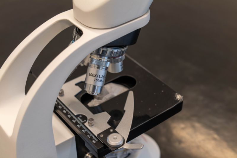 Settimana della Scienza
