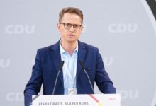 Carsten Linnemann reddito di cittadinanza