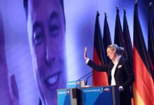 Elon Musk AfD