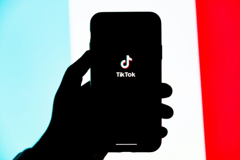 TikTok elezioni