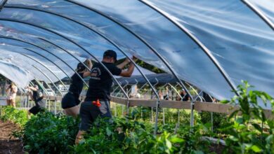 salario minimo agricoltura