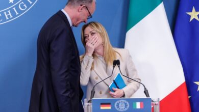Meloni Merz cooperazione