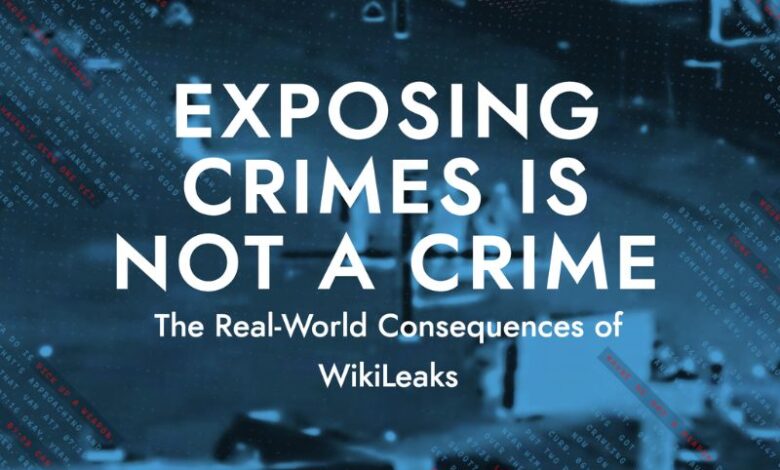 WikiLeaks Disruption Network Lab